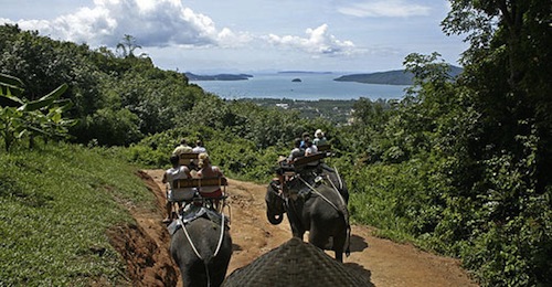 象乗る タイ