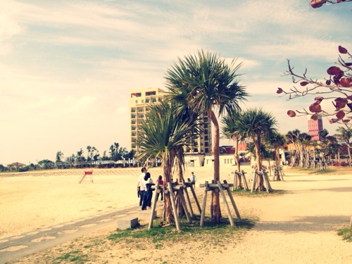 IMG_1617.jpg sunset beach