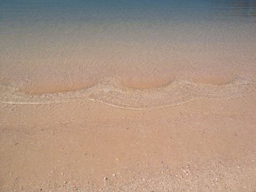 IMG_5429.jpg 海