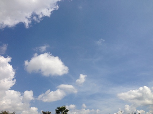 IMG_0341.JPG 青空