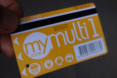 DSC00055.JPG MyMult 1