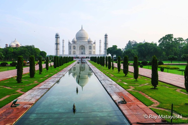 taj.jpg Taj