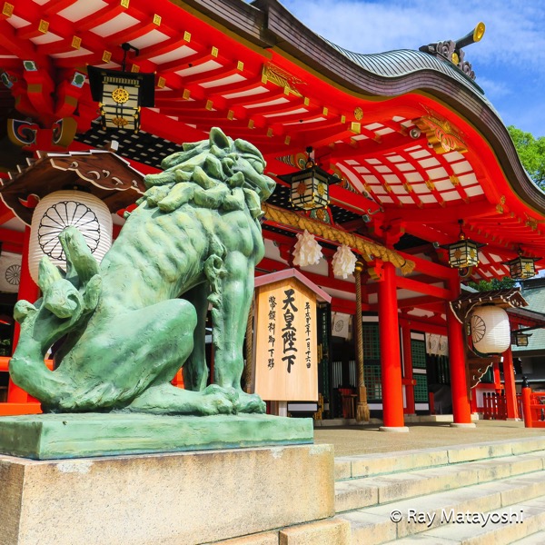 temple-4.jpg 生田神社