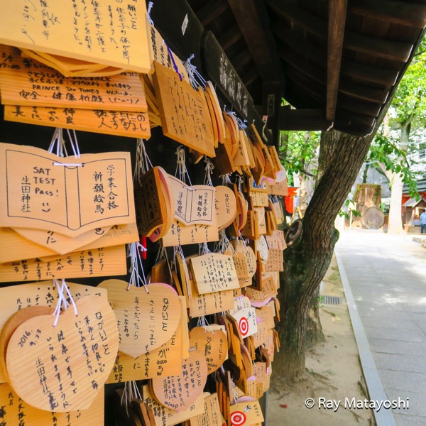 temple-9.jpg 神社